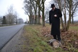 Pod kołami samochodu zginął kolejny borsuk, symbol gminy Murów