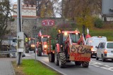 Ogromne korki w Opatowie. Na drogach znów protestowali rolnicy [RELACJA, ZDJĘCIA]