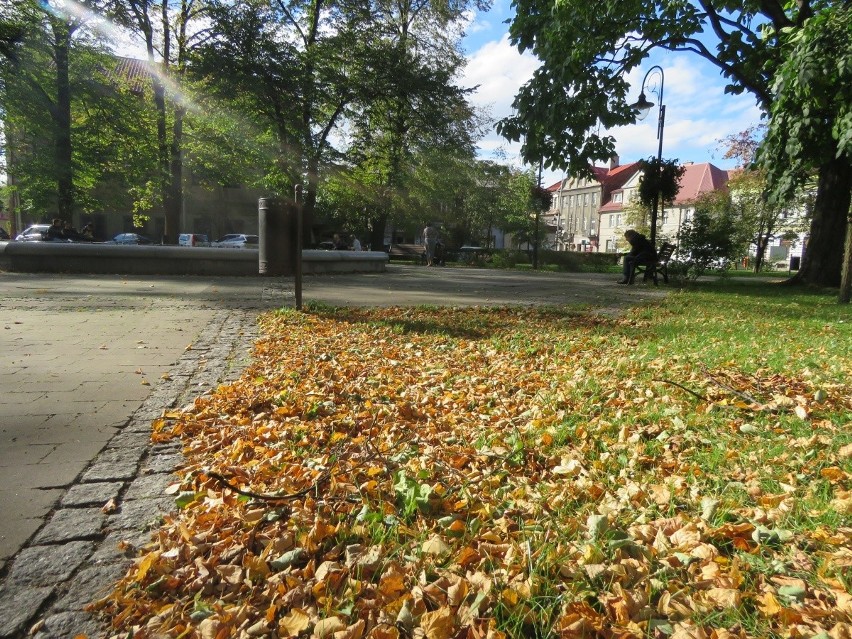 Złota Jesień w andrychowskim parku