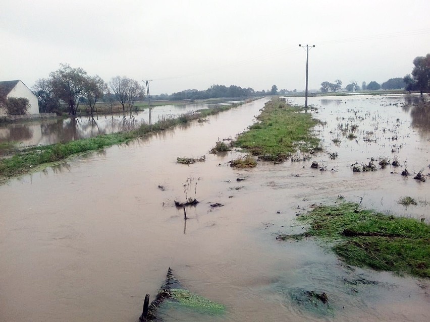 Woda w rzekach zalewa okoliczne miejscowości. Obowiązuje...