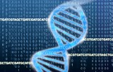 Choroby genetyczne człowieka – które wady i mutacje genetyczne należą do najczęstszych?