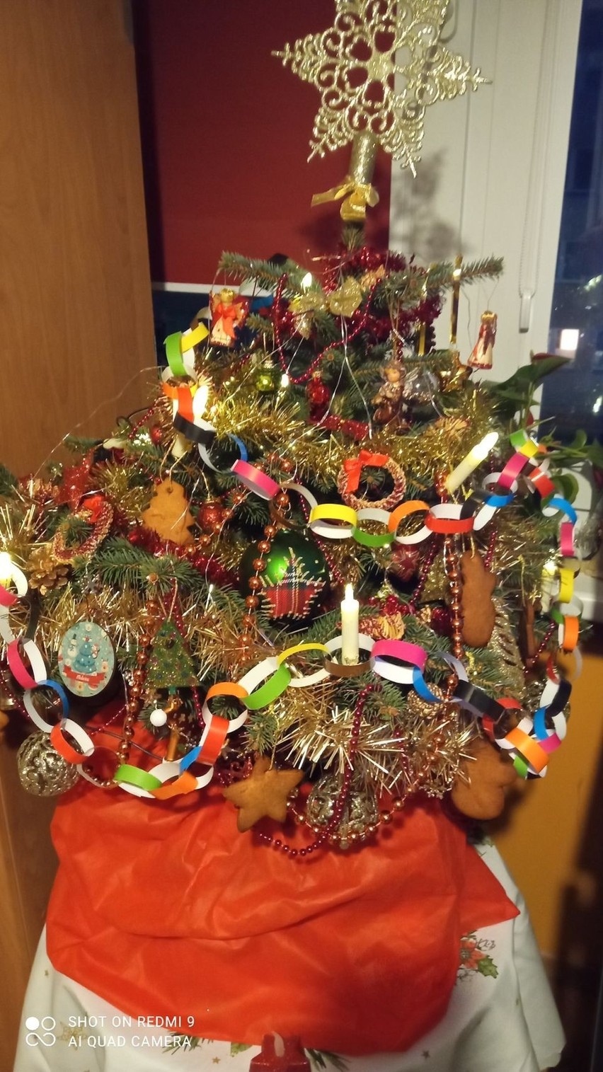 Choinki w domach Czytelników "Dziennika Bałtyckiego". Zobaczcie wyjątkowe zdjęcia świątecznych drzewek! 