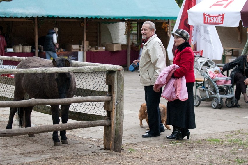 KAZIUKI NAD SŁUPIĄ  w Lasku Północnym