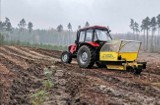 W Nadleśnictwie Kłodawa nowy las sadzi maszyna. Bo brakuje chętnych do pracy 