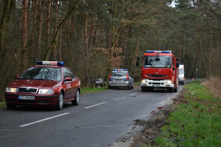 Tragiczny wypadek w Bieruniu: Zginęła 37-latka. Uderzyła w drzewo [ZDJĘCIA]