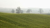 Działki rolne na sprzedaż w Kujawsko-Pomorskiem. Tyle kosztuje ziemia pod uprawy, pasiekę, fotowoltaikę