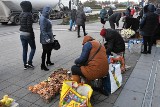 Mnóstwo pięknych grzybów w piątek na kieleckich bazarach. Zobaczcie ceny [ZDJĘCIA]