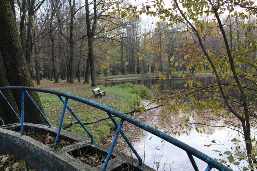 Tak wygląda park Zielona w jesiennych barwach