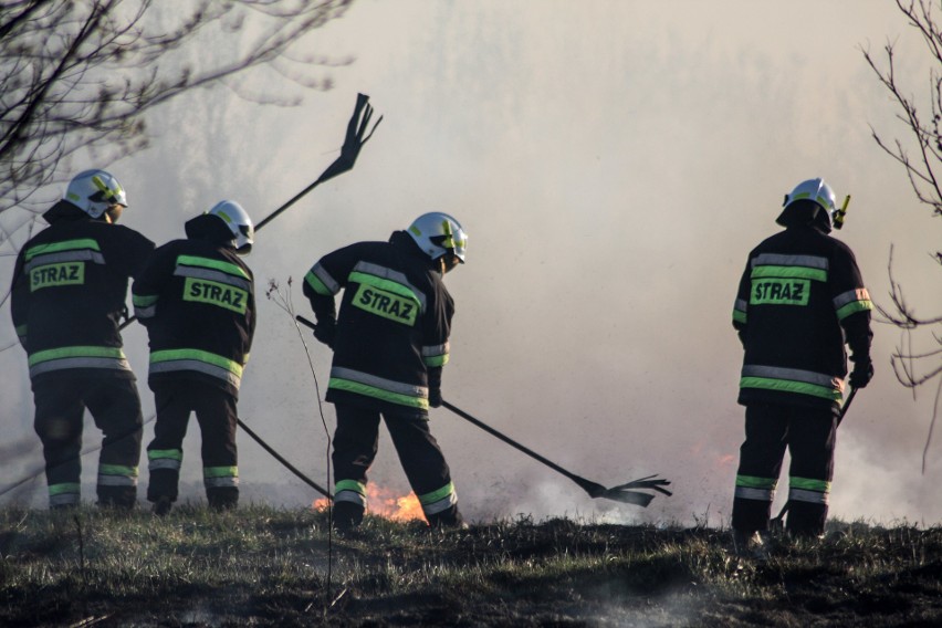 Wczoraj około godz. 17.00 strażacy dostali zgłoszenie o...