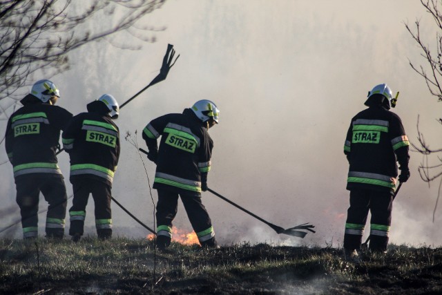 Wczoraj około godz. 17.00 strażacy dostali zgłoszenie o pożarze traw na ul. Słocińskiej w Rzeszowie. Spłonęło pół hektara nieużytków. Akcja gaszenia pożaru trwała 40 minut. Wzięły w udział dwa zastępy OSP i jeden PSP.