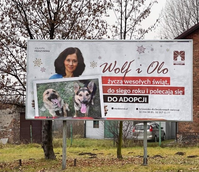 Billboard z Jolantą Fraszyńską można już dostrzec w mieście. Aktorka i mysłowiczanka składa świąteczne życzenia i poleca psy do adopcji. Zobacz kolejne zdjęcia. Przesuń zdjęcia w prawo - wciśnij strzałkę lub przycisk NASTĘPNE