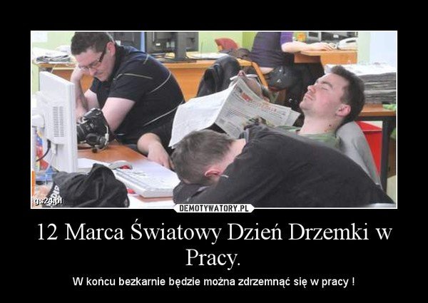 Światowy Dzień Drzemki w Pracy. Zobaczcie śmieszne memy | Gazeta Wrocławska