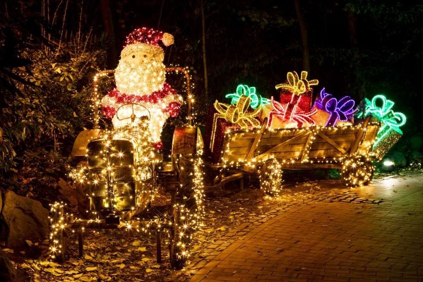 Organizatorzy Christmas Garden Chorzów zapewniają, że ogród...