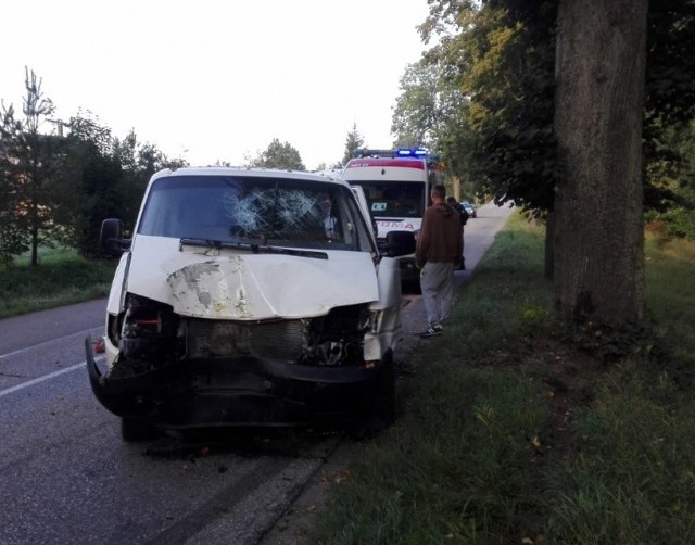 W poniedziałek około godziny 7.20 doszło do zderzenia samochodu dostawczego z łosiem. Wypadek miał miejsce na drodze wojewódzkiej nr 655 niedaleko miejscowości Pietrasze.