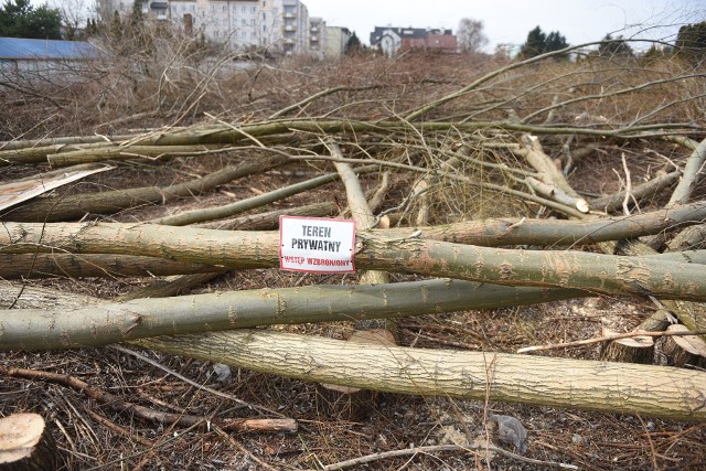 Z ulicy Grudziądzkiej widać bloki na Koniuchach. Jeszcze w poniedziałek w tym miejscu widać było tylko drzewa