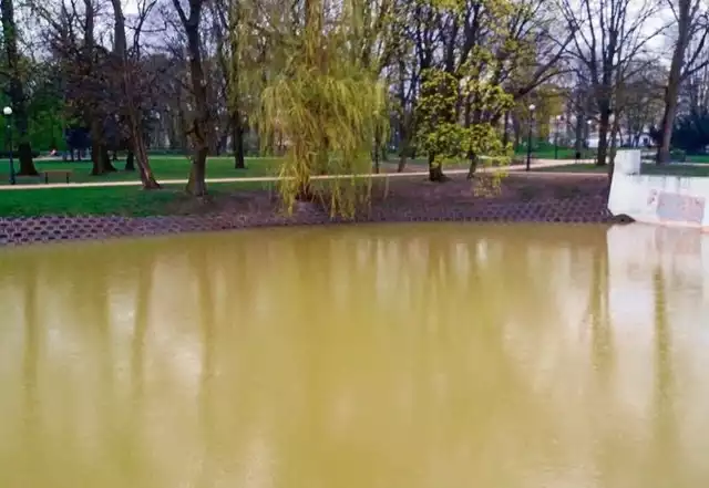 Staw nie wygląda dobrze, ale  gdy woda się ustoi, ma być przezroczysta.