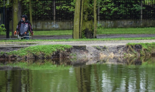 Park nad Starym Kanałem Bydgoskim za jakiś czas ma się zmienić.