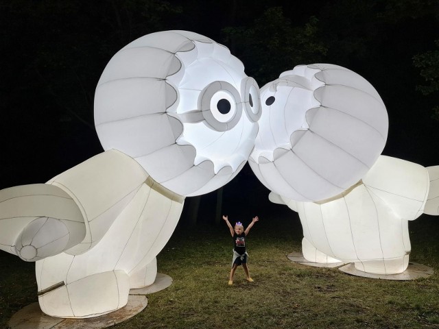 Toruń ma duży potencjał kulturalny. Zdjęcie z festiwalu światła.