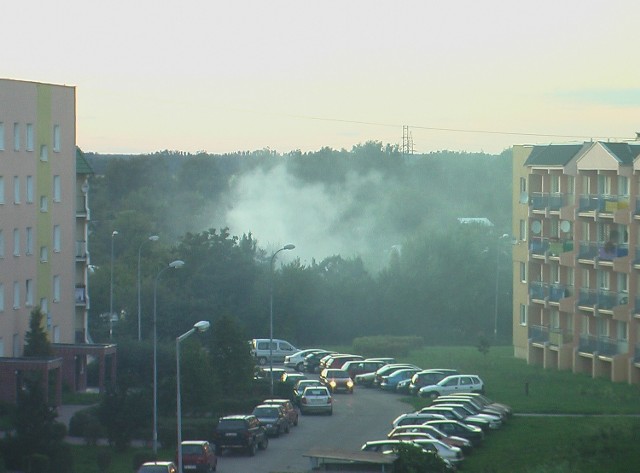 Gdy działkowicze z Górczyna biorą się za wypalanie śmieci, dym idzie taki jak od pożaru, a okoliczni mieszkańcy muszą zamykać okna 