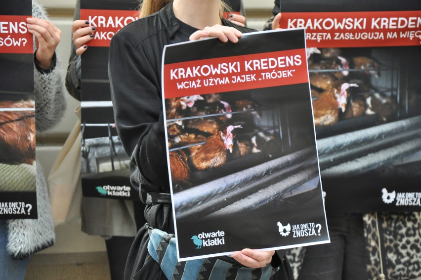 Obrońcy zwierząt kontra Krakowski Kredens. Demonstracja na Floriańskiej [ZDJĘCIA]