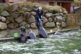 Dzień Dziecka w fokarium i ZOO w Dolinie Charlotty