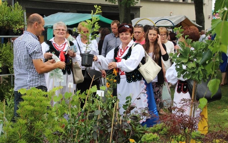 Festiwal kwiatów w Albigowej