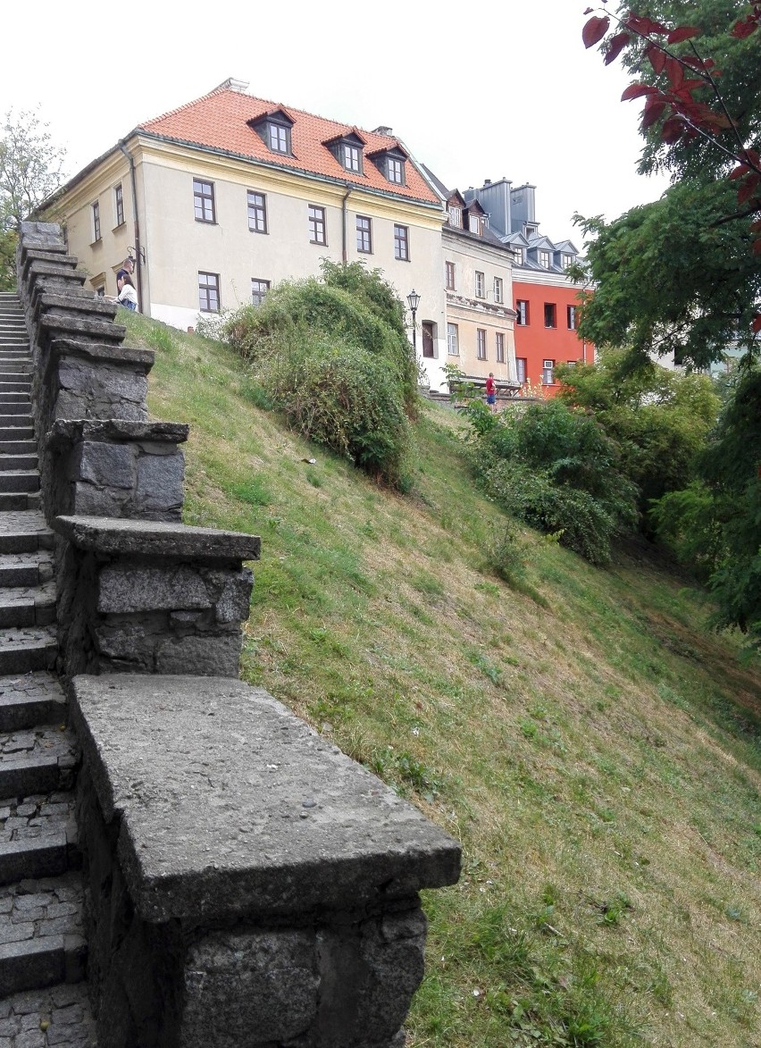 Nowe krzewy na Podwalu w Lublinie. Czy uratują osuwającą się skarpę? 