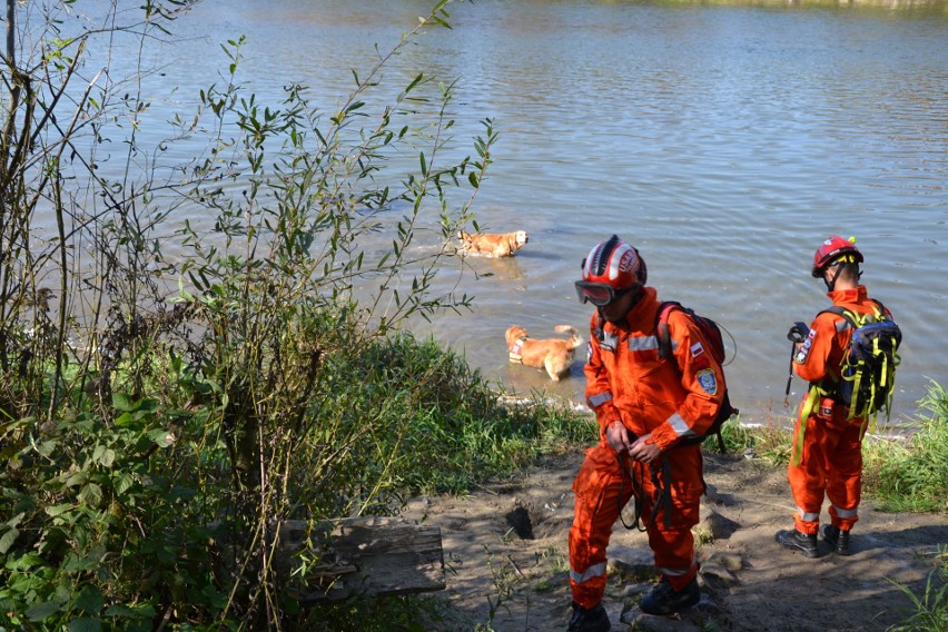 Widowiskowe manewry służb ratowniczych w Państwowej Wyższej Szkole Zawodowej