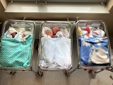 Cud narodzin w Piekarskim Centrum Medycznym. Aż trzy pary bliźniąt przyszły na świat w jednym tygodniu. Prawdziwa kumulacja szczęścia!