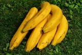 Banany w twojej diecie. To się z nami dzieje, gdy jemy banany. Taki wpływ mają na nasze zdrowie. Te osoby nie mogą jeść bananów. LISTA
