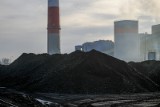 Polska Grupa Górnicza chce rozszerzać współpracę z dostawcami węgla. Spółka poszukuje Kwalifikowanych Dostawców Węgla. Ruszyły przetargi