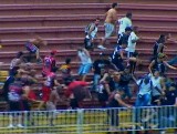 Gigantyczna bójka na stadionie, kopali leżących do nieprzytomności (wideo)