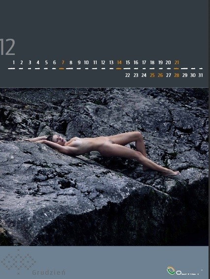 Grudniowa strona kalendarza Olmetu 2014