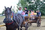 VI Zlot furmanek w Furmanach w stylu country w niedzielę 30 lipca. Konkursy zaprzęgów konnych, pokaz kawalerii, szukanie złota, potańcówka