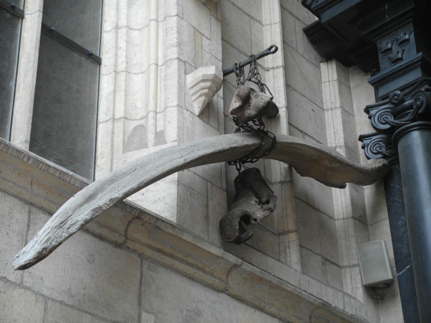 Kości przy wejściu do katedry