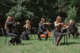 Premiera nowego teledysku zespołu Baltic Neopolis Orchestra