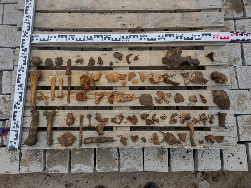 W Kamieniu Pomorskim odkryto ludzkie szczątki