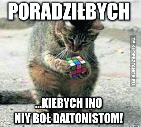 Memy po śląsku. Ubawicie się po pachy! Zobaczcie koniecznie