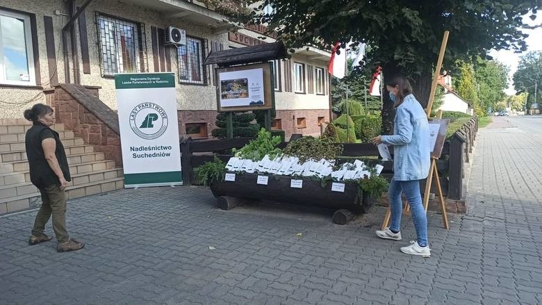 W nadleśnictwach całego regionu radomskiego odbyła się akcja...