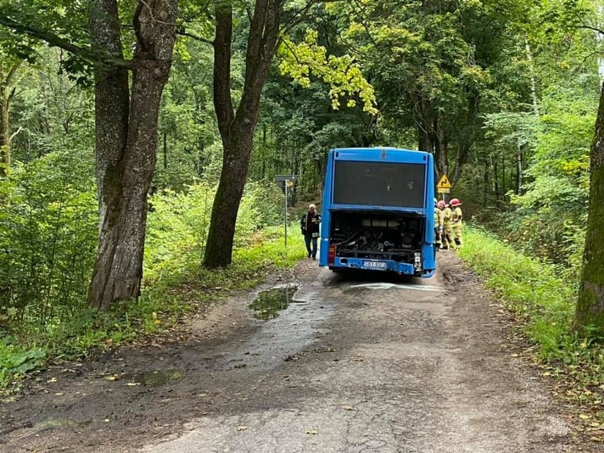 Wypadek autobusu i busa na drodze 211. Trzy osoby ranne.