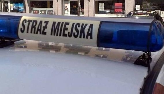 Dziecko błagało o pomoc strażników miejskich w Kielcach. Zostało pobite 