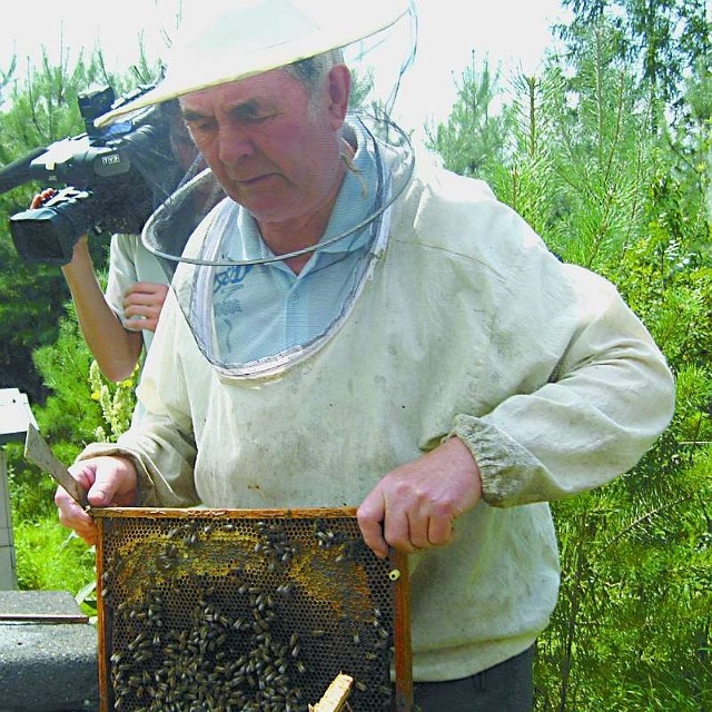 Pan Franciszek swoje pszczoły odwiedza codziennie. - Trzeba się o nie troszczyć, żeby był miód - mówi.