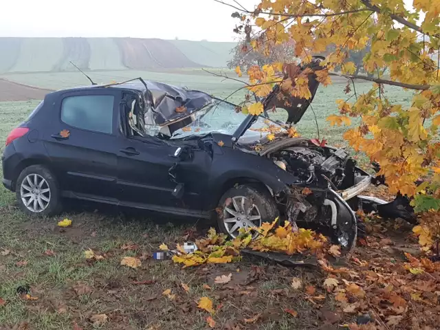 Kobieta prowadząca samochód uderzyła w drzewo