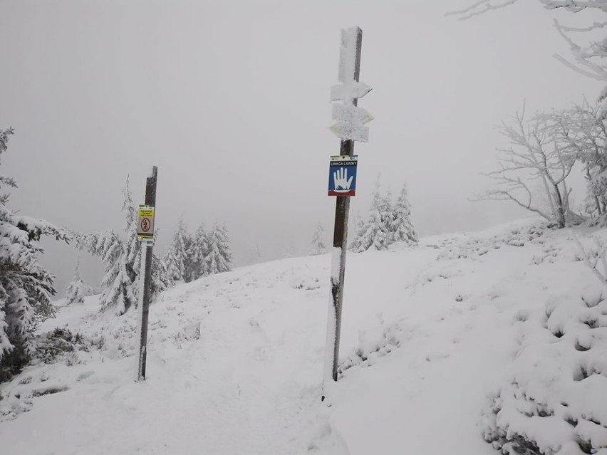 Trudne warunki w Karkonoszach. Szlaki zamknięte 