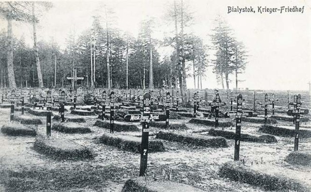 Cmentarz wojenny w Zwierzyńcu, 1916 rok. Podmiejski lasek zapełnił się licznymi grobami, często bezimiennych żołnierzy.