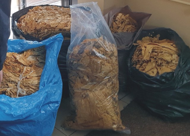 95 kg suszu tytoniowego, za który nie zapłacono podatku akcyzowego, znaleziono w Nisku.