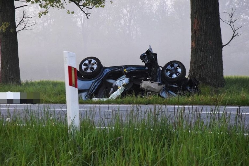 Zwierzę wybiegło na jezdnię, śmiertelny wypadek. Wciąż niewiele wiadomo (ZDJĘCIA)