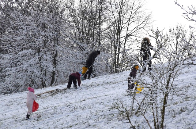 W pierwszy grudniowy weekend zima na dobre zawitała do inowrocławskich Solanek. W niedzielę, 3 grudnia, park tętnił życiem. Nie brakowało tam saneczkarzy, spacerowiczów, a nawet rowerzystów.