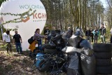 Posprzątaliśmy las! Leśniczy: śmiecenie w nim to zbrodnia! GazetaWroclawska.pl w akcji #trashchallenge