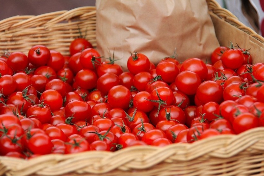 Naturalny nawóz z pokrzywy może nam pomóc wzmocnić pomidory....